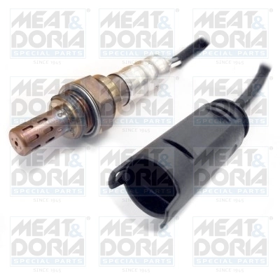 Oxygen Sensor